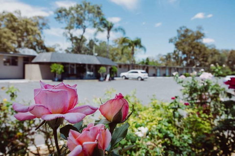Artesian Spa Motor Inn - Port Augusta Accommodation 2