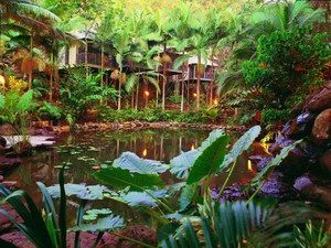 Daintree Eco Lodge & Spa - Port Augusta Accommodation 0