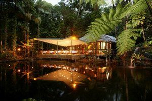 Daintree Eco Lodge & Spa - Port Augusta Accommodation 2