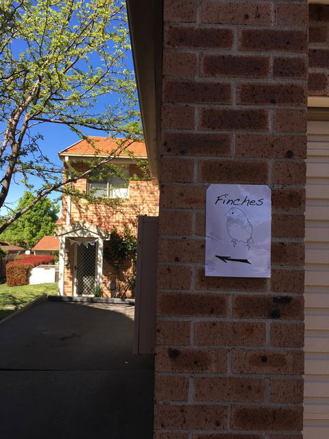 Finches Canberra - Port Augusta Accommodation 6
