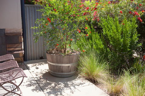 One Of A Kind Apartments - Port Augusta Accommodation 15