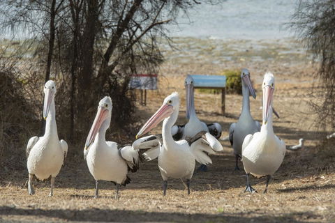 Mercure Kangaroo Island Lodge - Port Augusta Accommodation 15