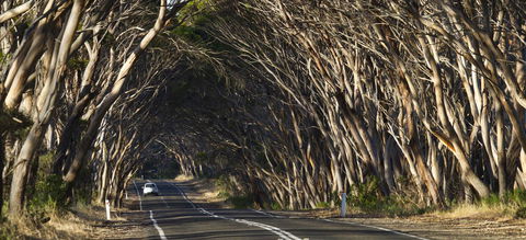 Mercure Kangaroo Island Lodge - Port Augusta Accommodation 40
