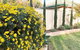 Beautiful Garden House - thumb 2