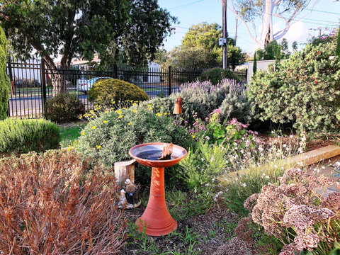 Beautiful Garden House - Port Augusta Accommodation 21