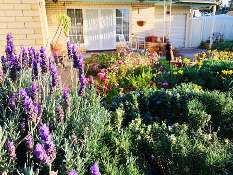 Beautiful Garden House - Port Augusta Accommodation 9