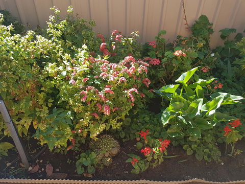 Tanunda\'s Magpie House - Port Augusta Accommodation 24