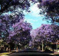 Monaco Court Apartment Adelaide - Port Augusta Accommodation