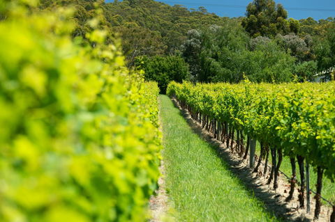 The Other House - Port Augusta Accommodation 2