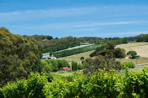 The Other House - Port Augusta Accommodation 3