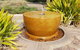 Adelaide Style Accommodation-Close To City-North Adelaide-3 Bdrm- FREE Parking - thumb 38