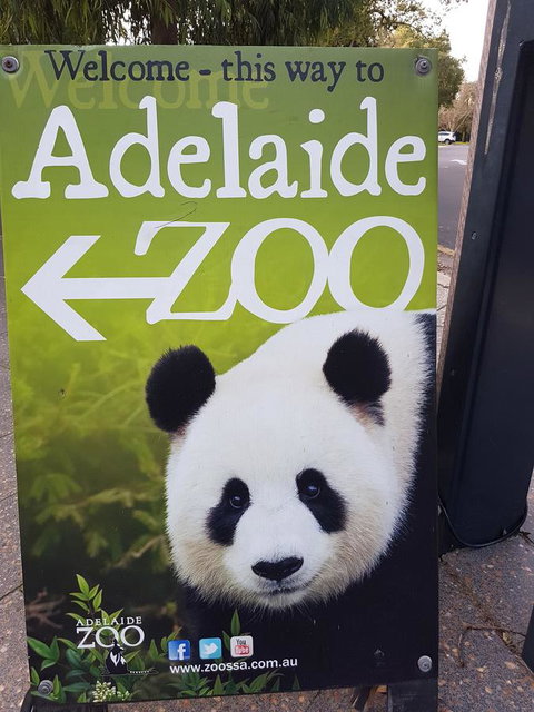 Adelaide Style Accommodation-Close To City-North Adelaide-3 Bdrm- FREE Parking - Port Augusta Accommodation 35