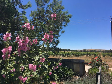 Amy\'s House Bed & Breakfast - Port Augusta Accommodation 29
