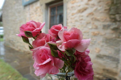 Amy\'s House Bed & Breakfast - Port Augusta Accommodation 30