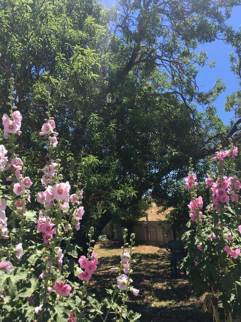 Amy\'s House Bed & Breakfast - Port Augusta Accommodation 37