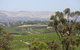Elandra Holiday Home - thumb 18