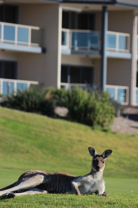 Lady Bay Hotel - Port Augusta Accommodation 16