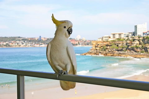 Beachfront Bliss - Port Augusta Accommodation 23