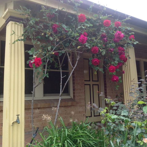 Oats Cottage - Port Augusta Accommodation 3