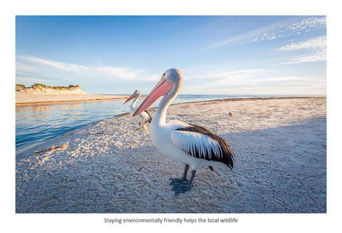 Adelaide Luxury Beach House - Port Augusta Accommodation 25