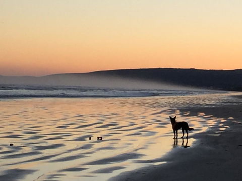 Goolwa Marinerâ€™s Cottage - Free Wifi And Pet Friendly - Centrally Located In Historic Region - Port Augusta Accommodation 35