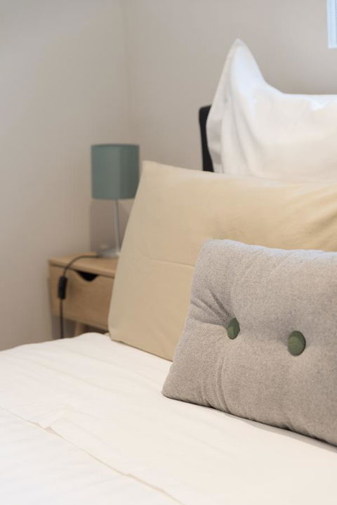 Ther-Rich 2Brm CBD Apartment - Port Augusta Accommodation 10
