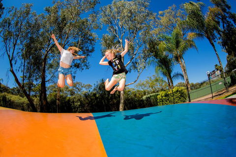 BIG4 Renmark Riverfront Holiday Park - Port Augusta Accommodation 37