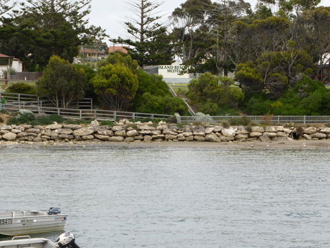 Island Motel Kingscote - Port Augusta Accommodation 4