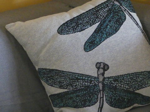 KI Dragonfly Guesthouse - Port Augusta Accommodation 43
