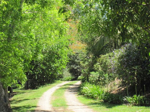 SummerHills Retreat Byron Bay - Port Augusta Accommodation 33