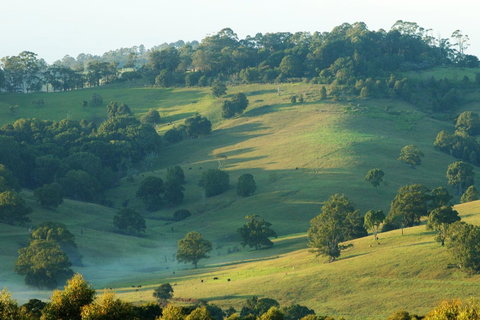 SummerHills Retreat Byron Bay - Port Augusta Accommodation 20