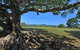 SummerHills Retreat Byron Bay - thumb 8