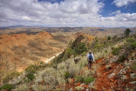 Arkaroola Wilderness Sanctuary - Port Augusta Accommodation 4