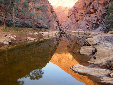 Arkaroola Wilderness Sanctuary - Port Augusta Accommodation 6