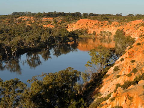 Echo Holiday Parks - Renmark - Port Augusta Accommodation 11