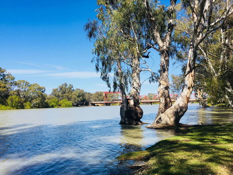 Echo Holiday Parks - Renmark - Port Augusta Accommodation 5