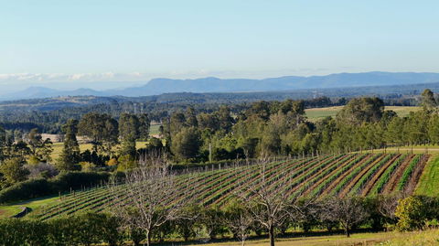 Grapevines Boutique Accommodation - Port Augusta Accommodation 21