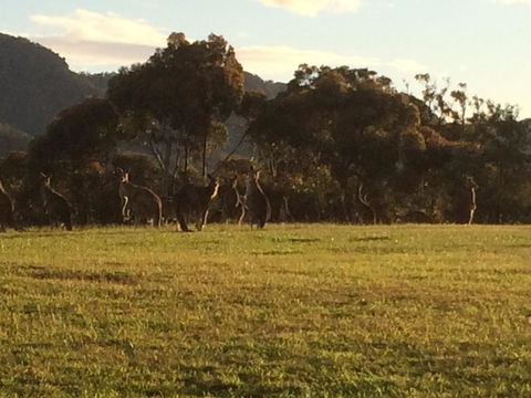 Grapevines Boutique Accommodation - Port Augusta Accommodation 26