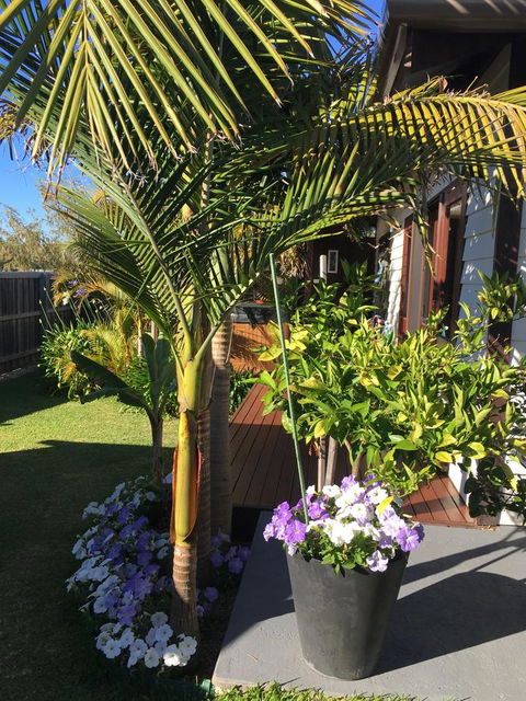 Bella Bali Gardens - Port Augusta Accommodation 23
