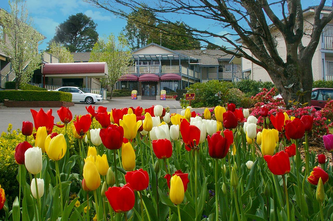Leura NSW Port Augusta Accommodation