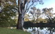 The Botanical 201 - thumb 18