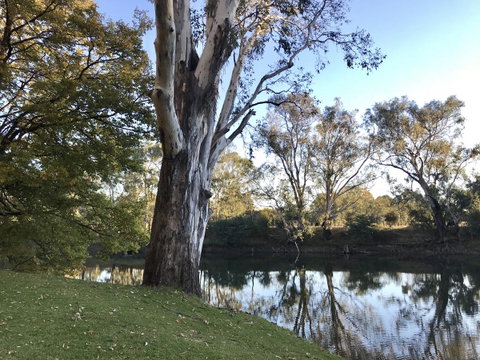 The Botanical 201 - Port Augusta Accommodation 18
