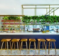 Vibe Hotel Sydney - Port Augusta Accommodation