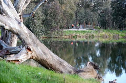 Mercure Albury - Port Augusta Accommodation 15