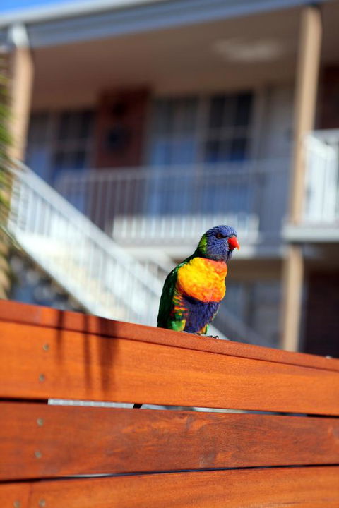 Summerhill Motor Inn - Port Augusta Accommodation 30