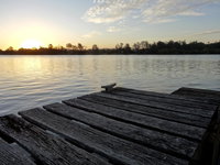 Book Urunga Accommodation Vacations Port Augusta Accommodation Port Augusta Accommodation