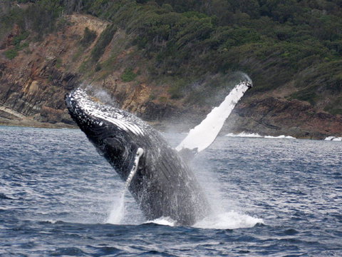Braemar 9 - Port Augusta Accommodation 8