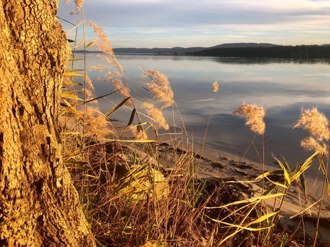 Lakeview Cottage - Port Augusta Accommodation 14