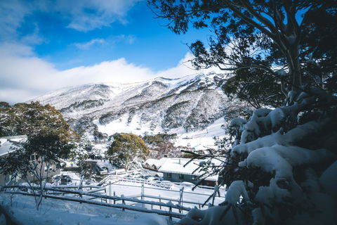 Pure Chalet Thredbo - Port Augusta Accommodation 31