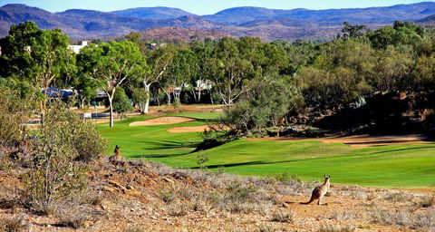 Desert Palms Alice Springs - Port Augusta Accommodation 30